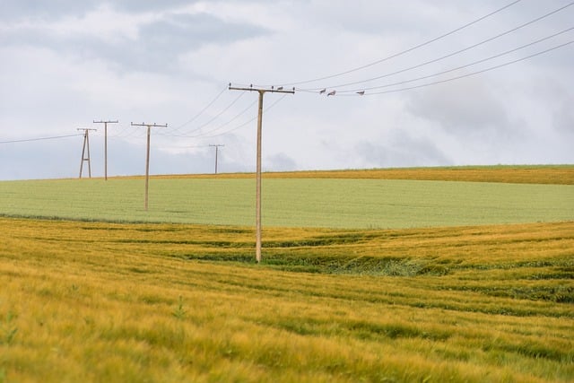 field