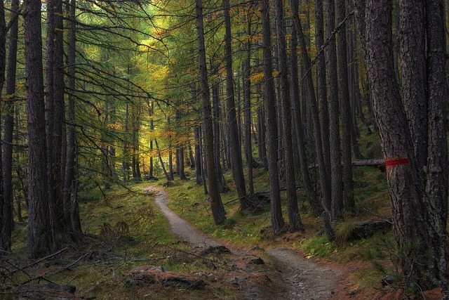 nature
